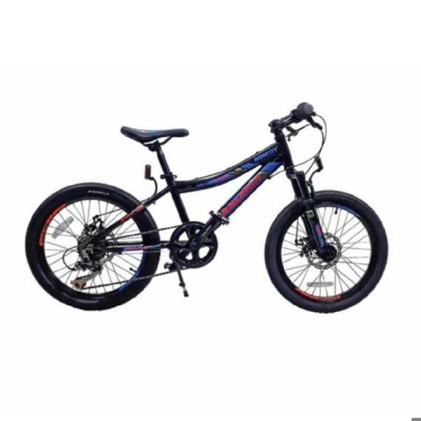 BICICLETA RALEIGH ROD-20 MTB ROWDY