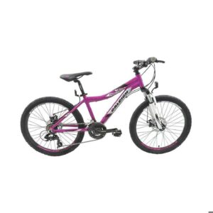 BICICLETA RALEIGH ROD-24 MTB SCOUT